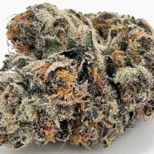 Ayo - Ayo- Sherbanger Flower 3.5g - 1