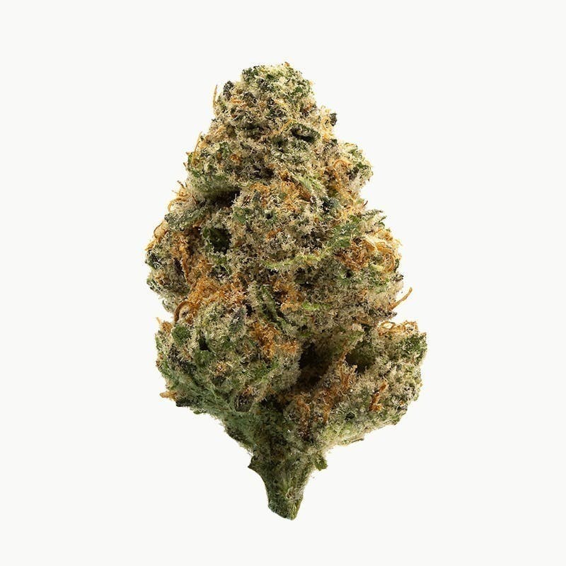 Mojo - Mojo | Colin OG | Big Buds | 14g - 1