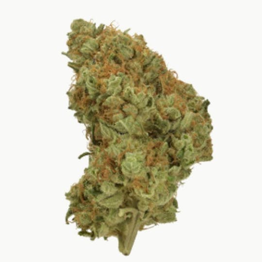 Mojo - Essentials – Garlic Icing – Flower – 14g - 1