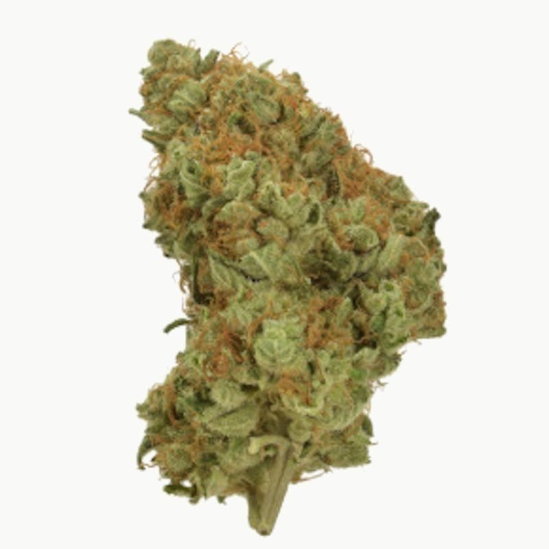 Mojo - Mojo | Garlic Icing | Big Buds | 14g - 1