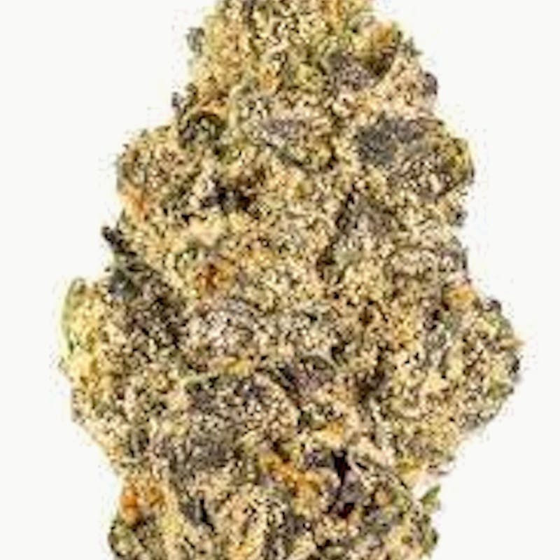 Mojo - Mojo | Trop Cherries | Big Buds | 14g - 1