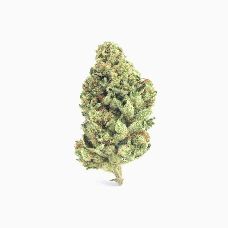 Mojo - Mojo | Wilson | Big Buds | 14g - 1