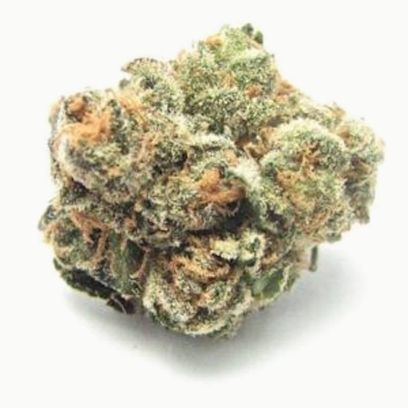 Mojo - Mojo | Poochie’s Papaya | Big Buds | 14g - 1