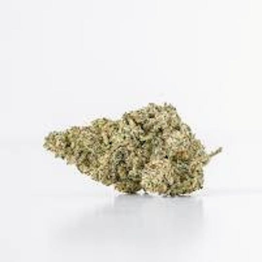 Mojo - Essentials - Sherbaccio Sweet Tea – Flower – 14g - 1