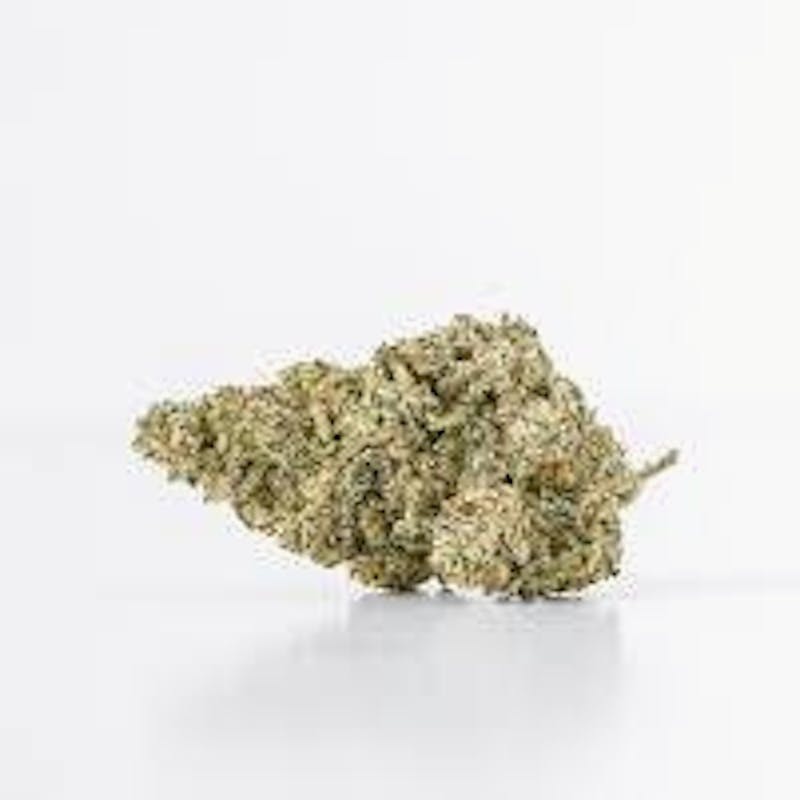 Mojo - Mojo | Sherbaccio Sweet Tea | Big Buds | 14g - 1