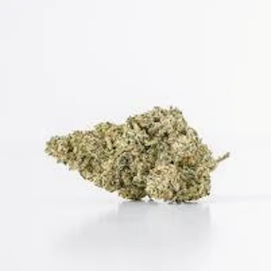 Mojo - Mojo | Sherbaccio Sweet Tea | Big Buds | 14g - 1