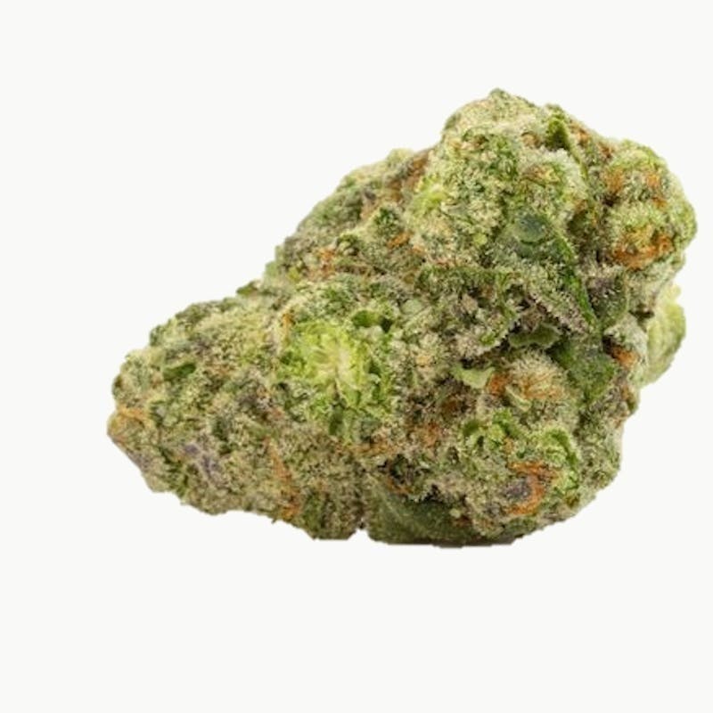 Mojo - Mojo | Maggie’s Mimosa | Smalls | 14g - 1