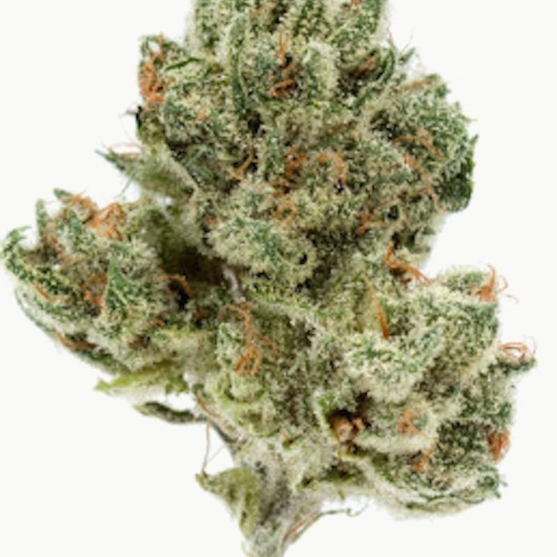 Mojo - Mojo | Lost Haven | Big Buds | 14g - 1