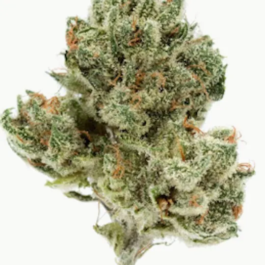 Mojo - Mojo | Lost Haven | Big Buds | 14g - 1