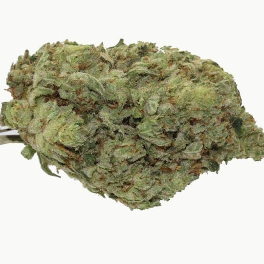 Mojo - Secret Stash – Animal Cookies – Flower – 14g - 1