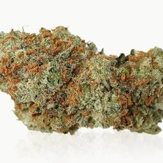 Mojo - Mojo | Headband | Big Buds | 14g - 1