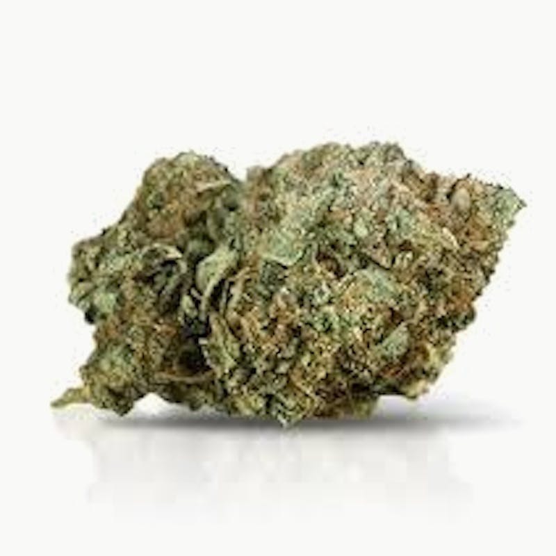 Mojo - Mojo | Sunset Sherb | Big Buds | 14g - 1