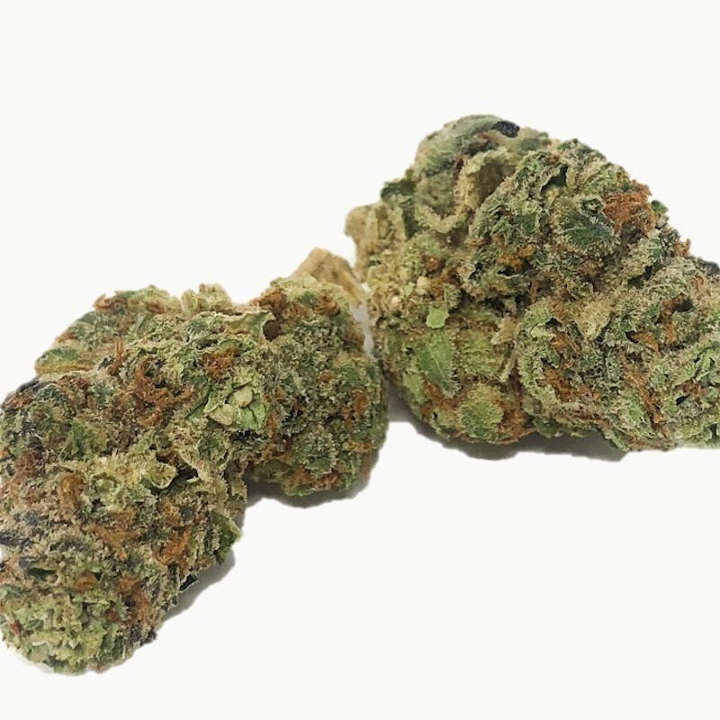 Mojo - Mojo | White Truffle | Big Buds | 14g - 1