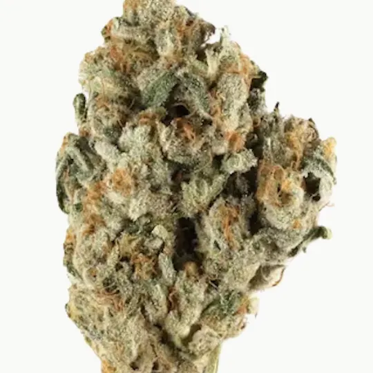 Mojo - Mojo | Frosted Donuts | Big Buds | 14g - 1