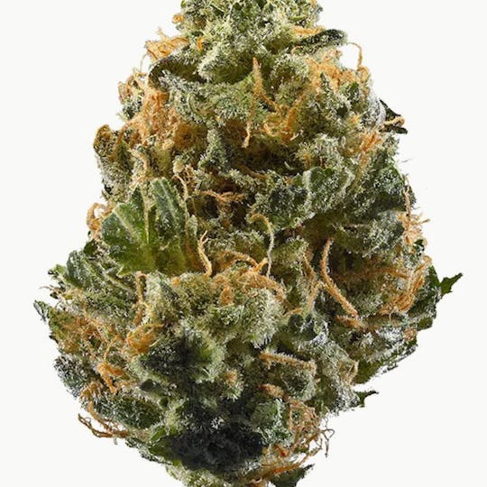 Mojo - Essentials – Headband – Flower – 14g - 1