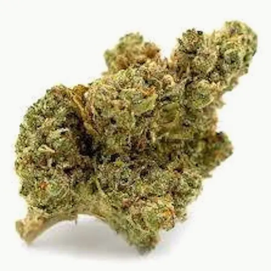Mojo - Mojo | Animal Mintz | Big Buds | 14g - 1