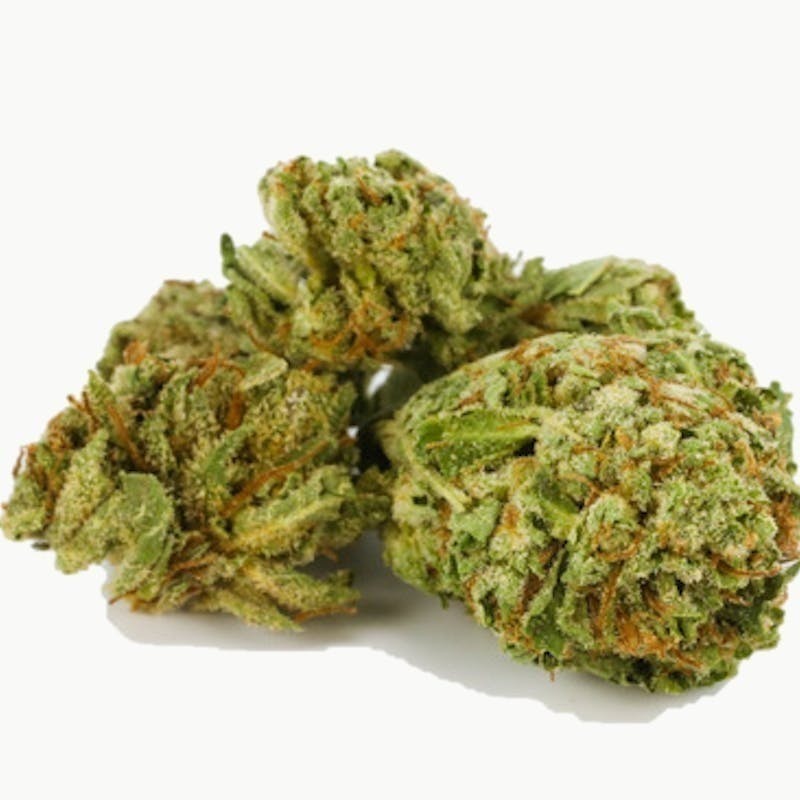 Mojo - Mojo | Pie Face | Big Buds | 14g - 1