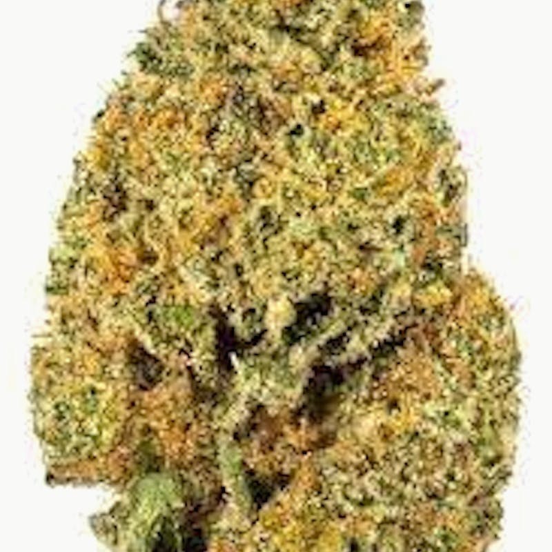 Mojo - Mojo | Egyptian Water | Big Buds | 14g - 1