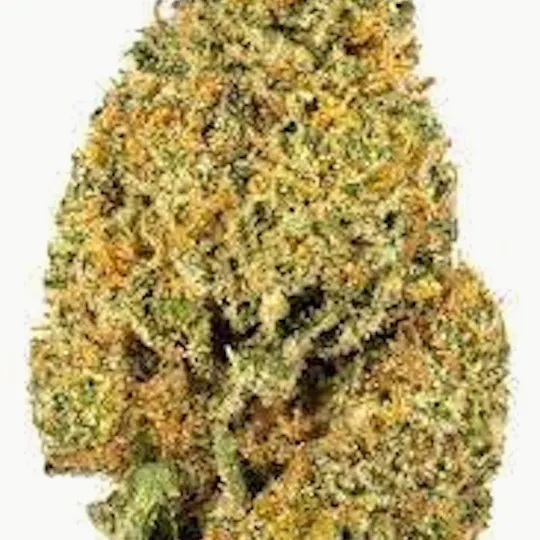 Mojo - Mojo | Egyptian Water | Big Buds | 14g - 1