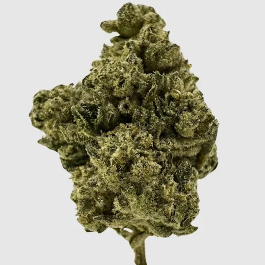 Mojo - Mojo | Cookies and Cream | Big Buds | 14g - 1