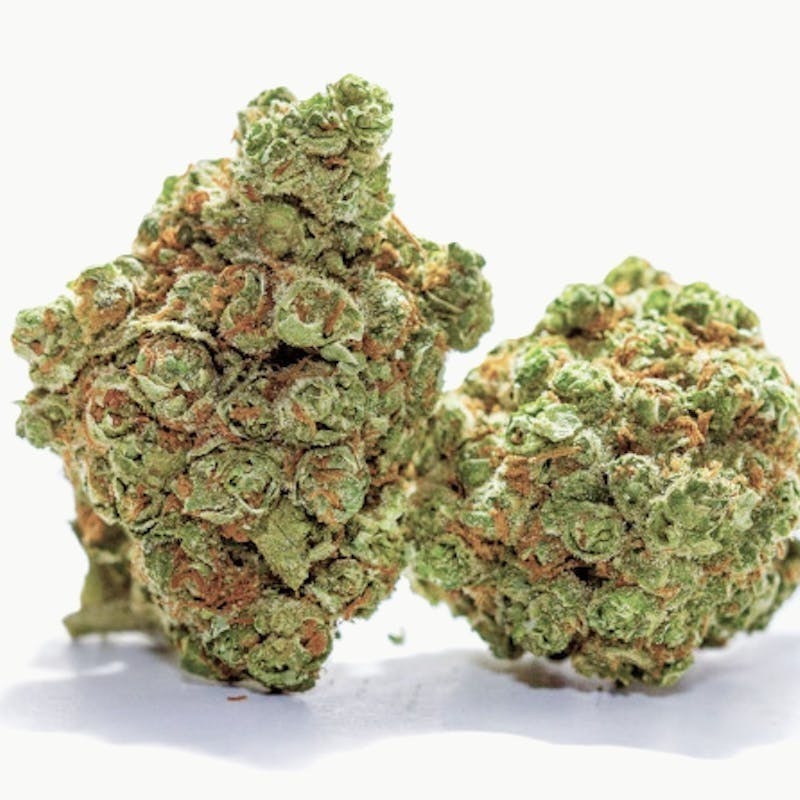 Mojo - Secret Stash – Black Maple – Flower – 14g - 1