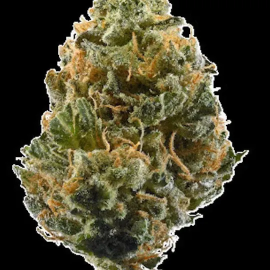 Mojo - Mojo | Bombshellz | Big Buds | 14g - 1