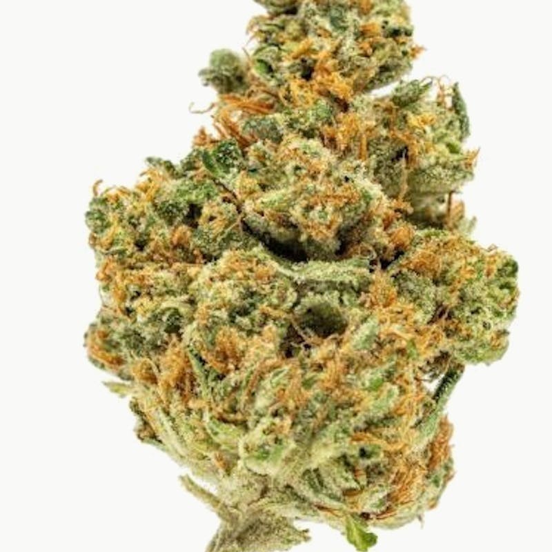Mojo - Mojo | Blizz Berry | Big Buds | 14g - 1