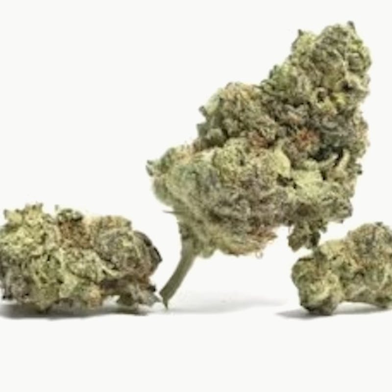 Mojo - Mojo | Wife Cream | Big Buds | 14g - 1