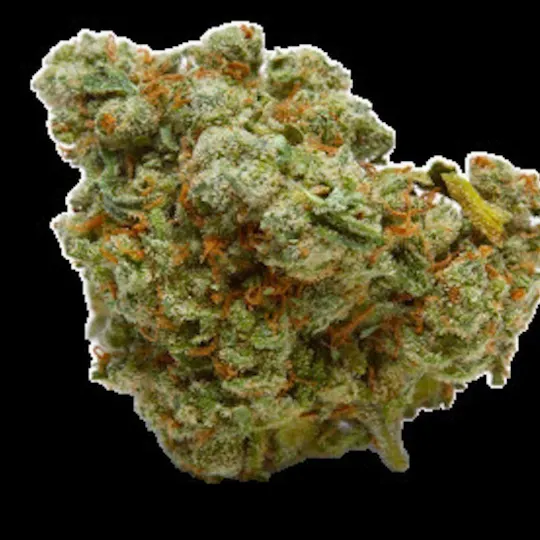 Mojo - Mojo | First Class Funk #2 | Big Buds | 14g - 1