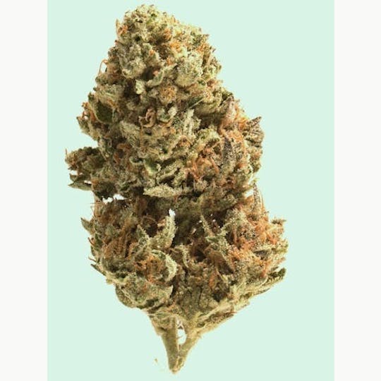 Mojo - Essentials - Super Boof – Flower – 14g - 1