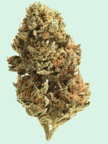 Mojo - Mojo | Super Boof | Big Buds | 14g - 1