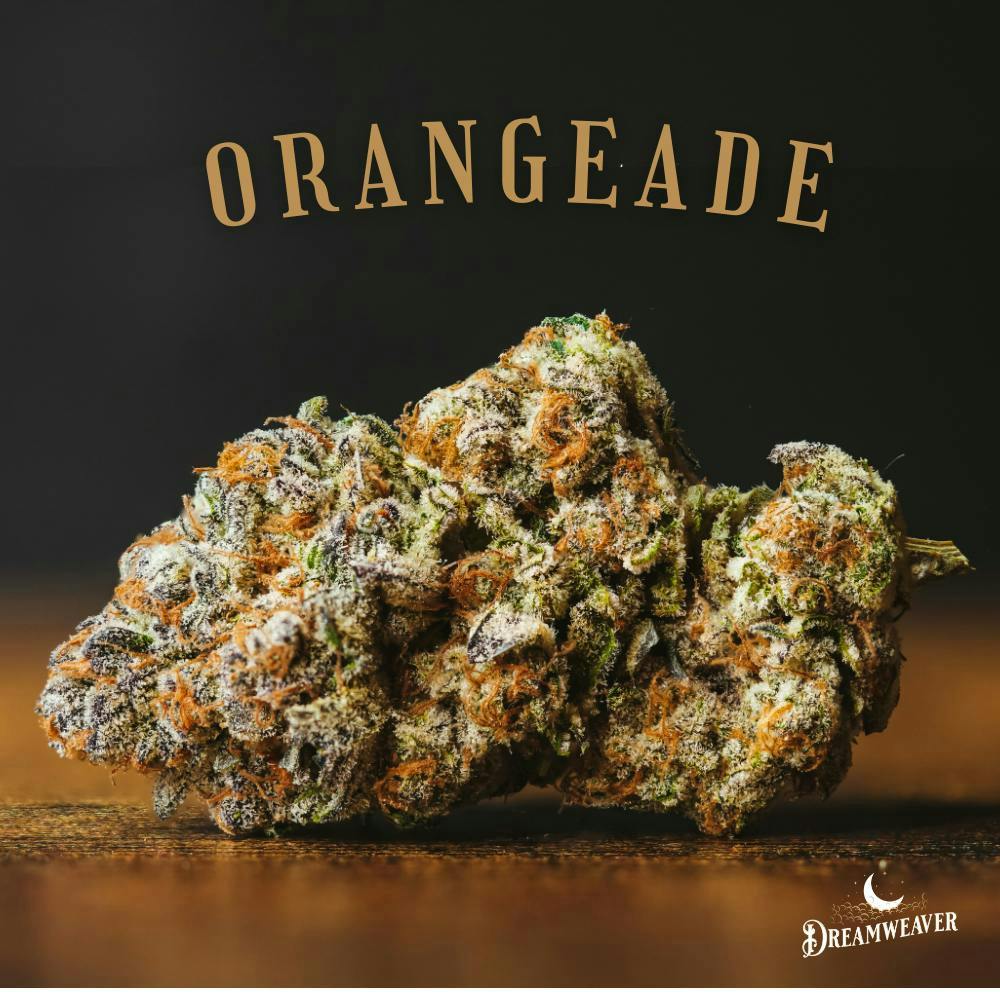 Dreamweaver Cannabis Co - Orangeade | Sativa | 1/8oz 3.5g - 1