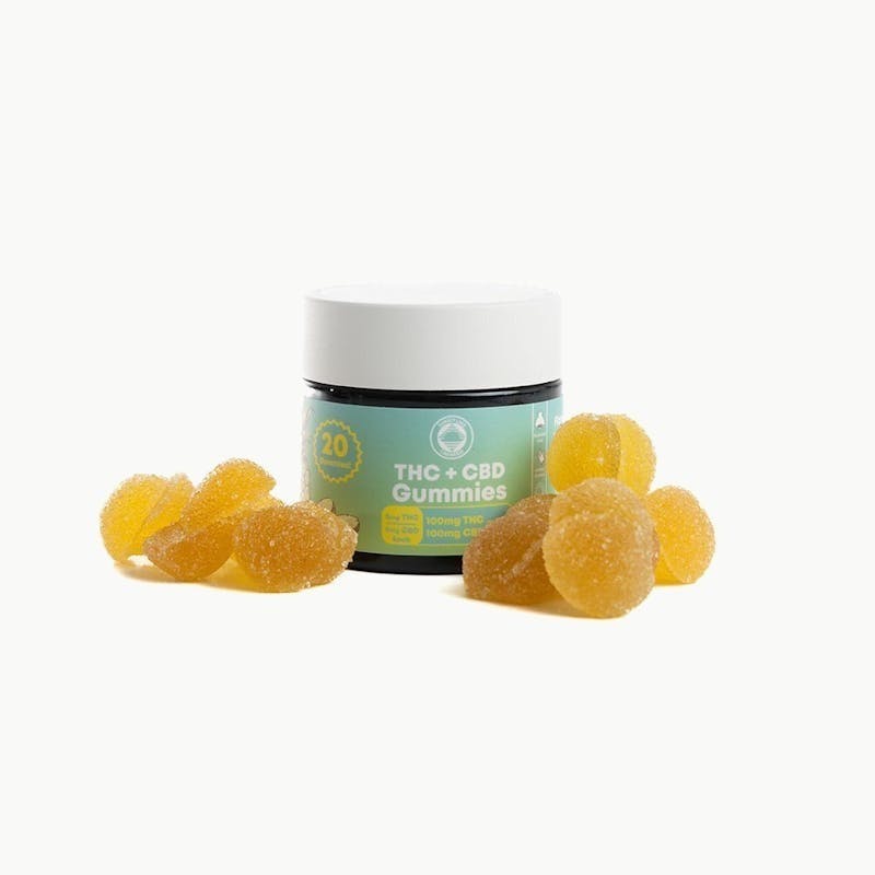 Sunset Lake - Sunset Lake- Pineapple Gummies 100mg THC 1:1 THC:CBD 20pk - 1