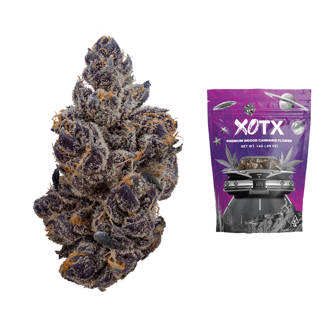 XOTX - Gasnana 14G - 1