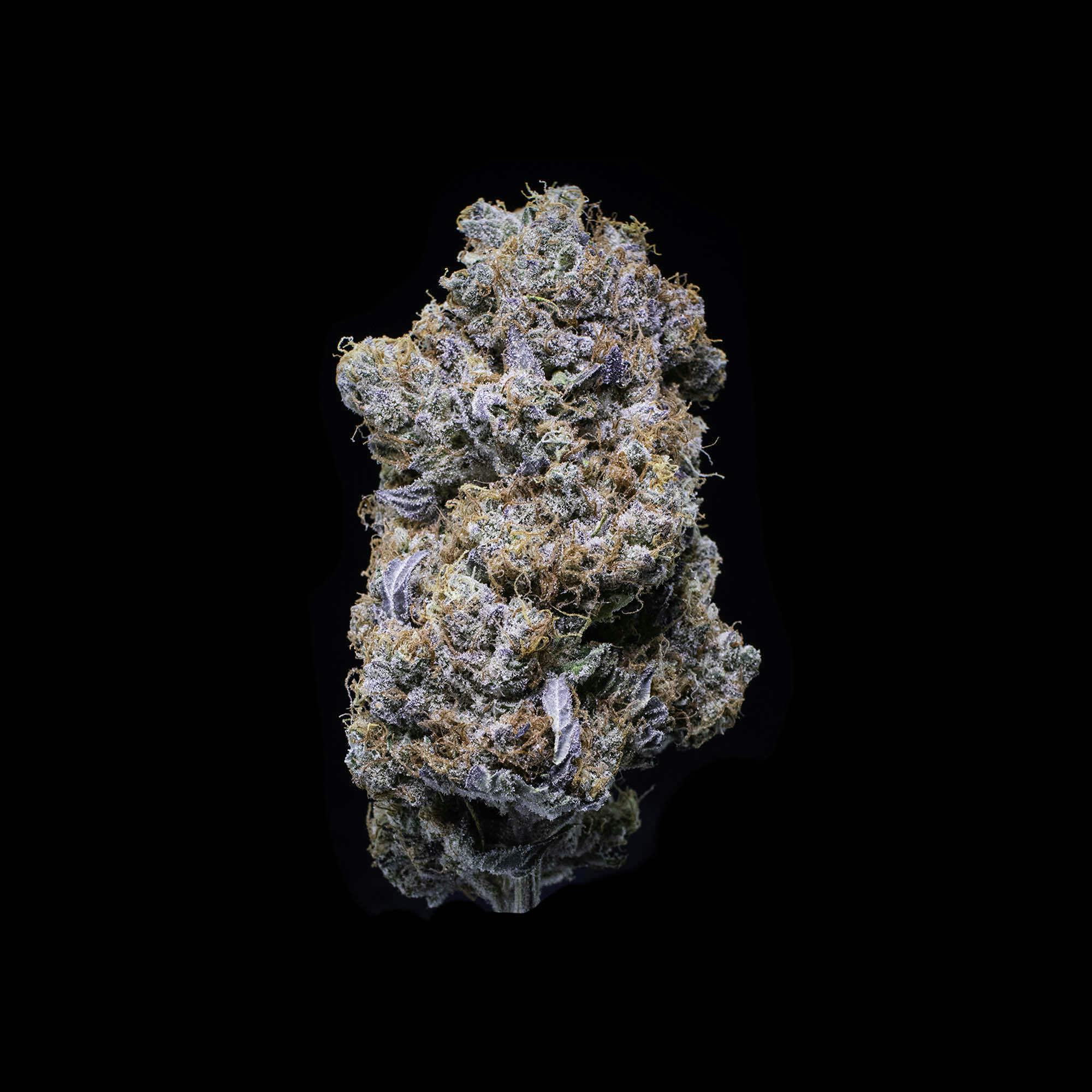 Falcanna - Orange Blossom Flower 7g - 1