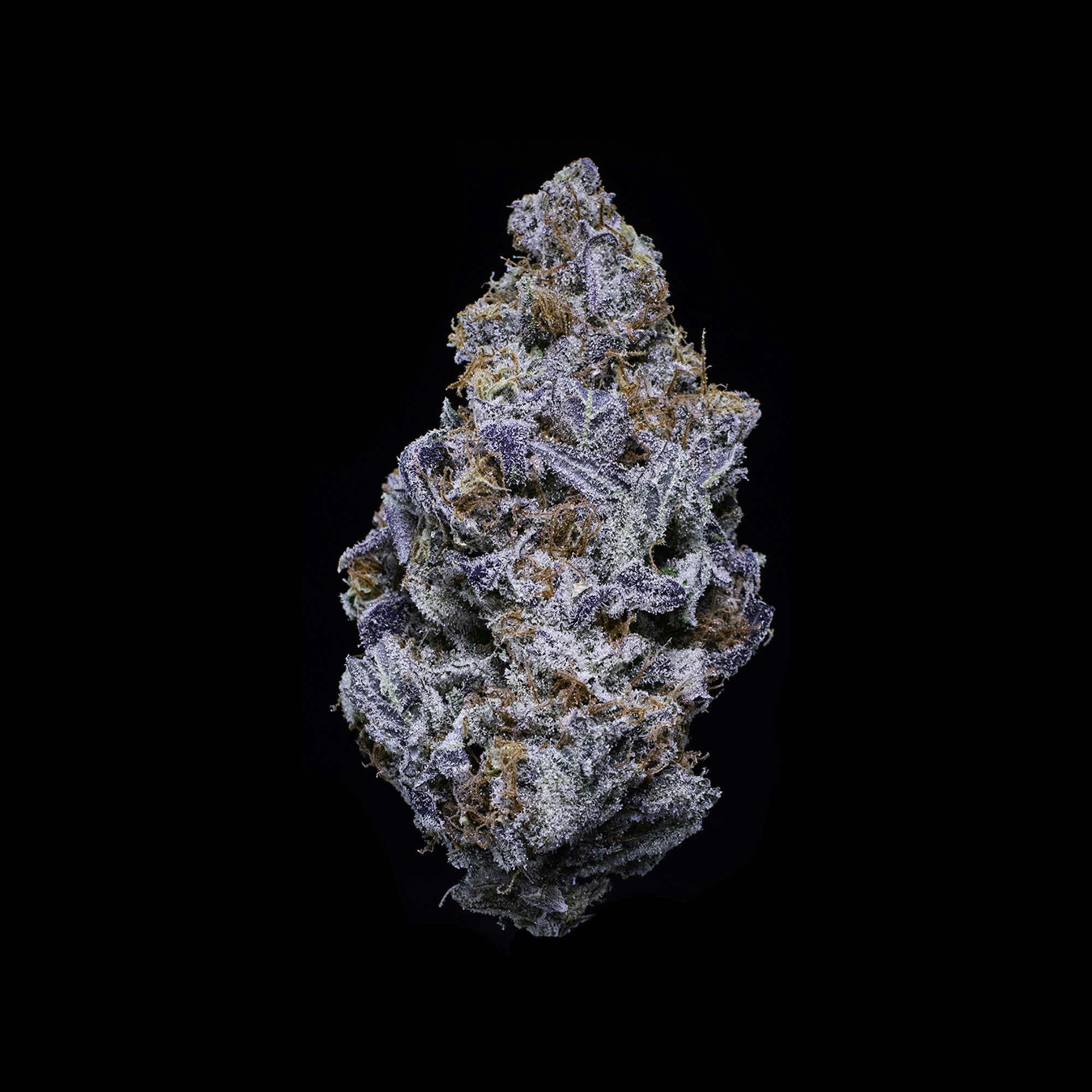 Falcanna - Diesel Thai Flower 7g - 1