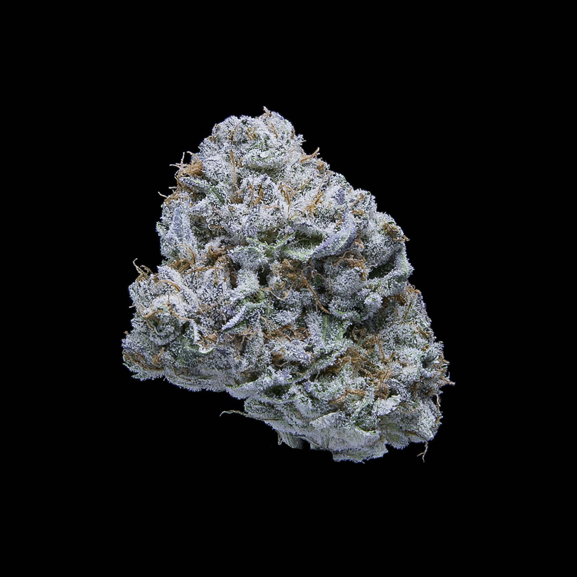 Falcanna - Gorilla Cookies Flower 3.5g - 1