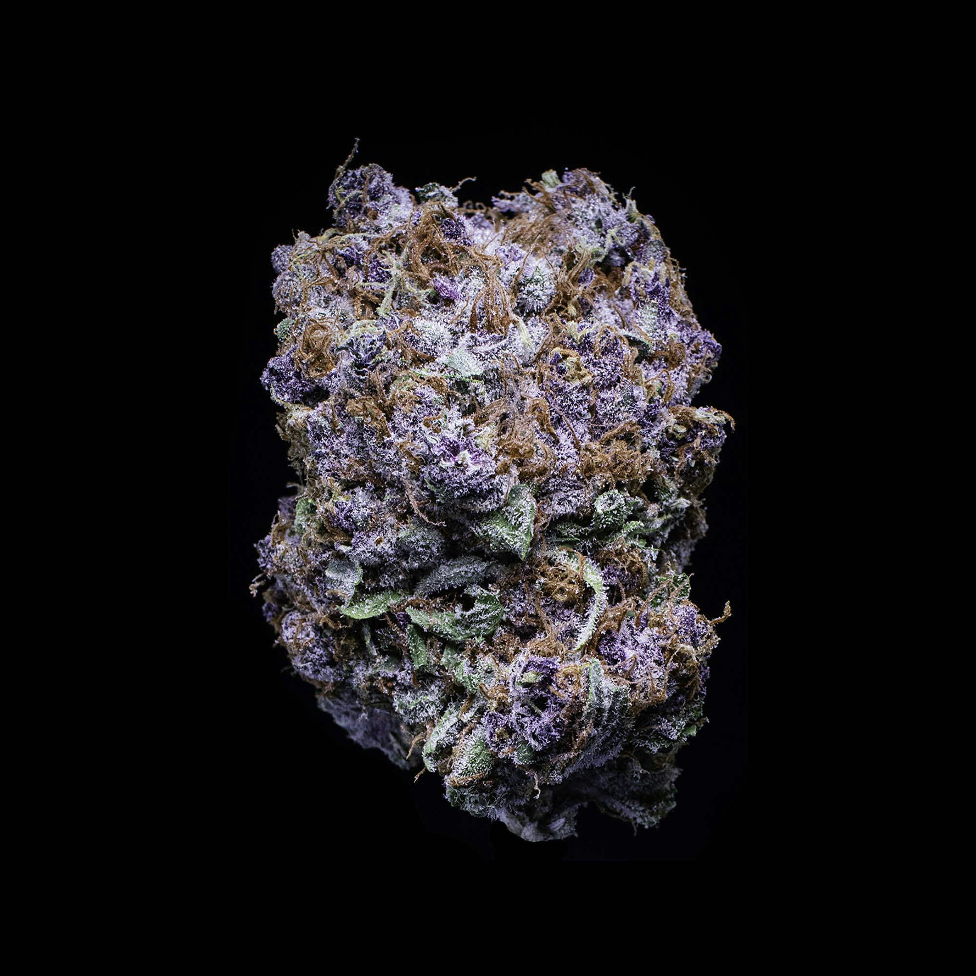 Falcanna - Blueberry Tide Flower 7g - 1