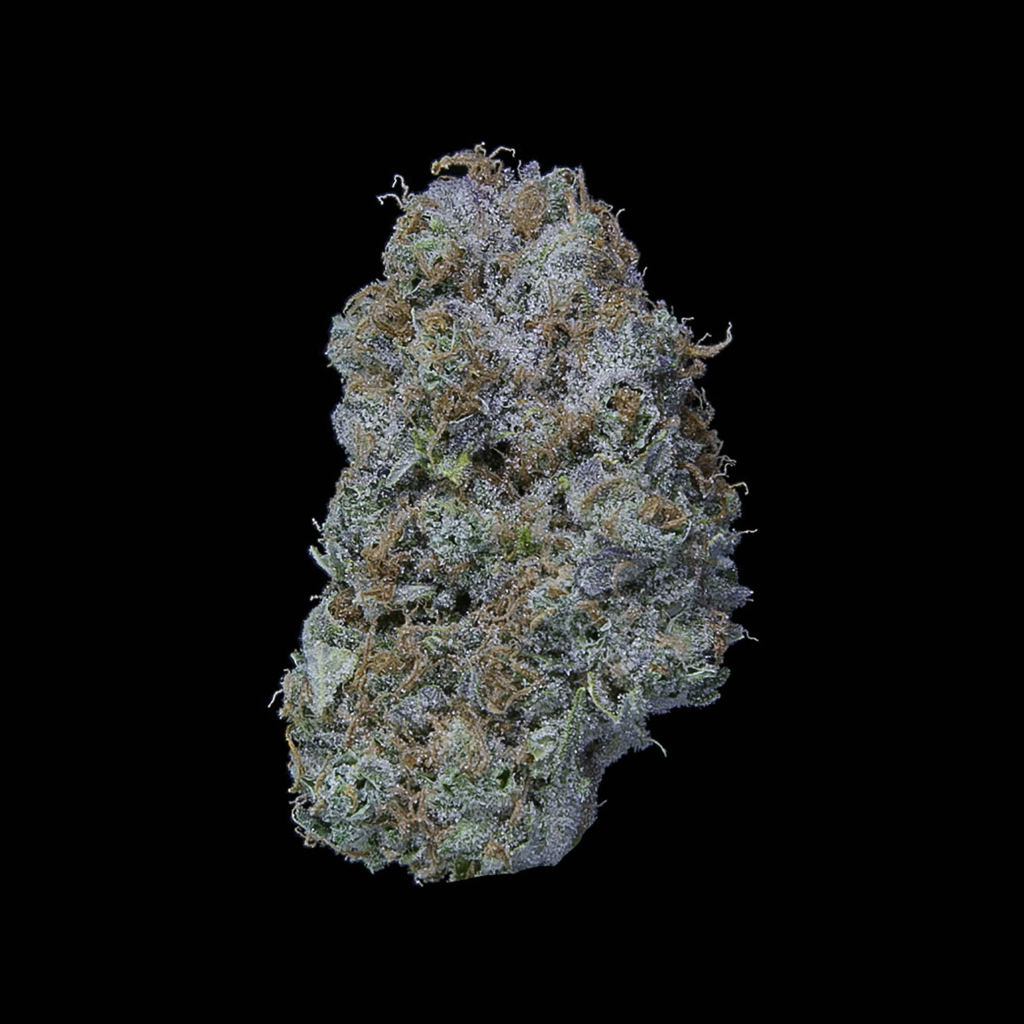 Falcanna - Dutch Haze Flower 14g - 1