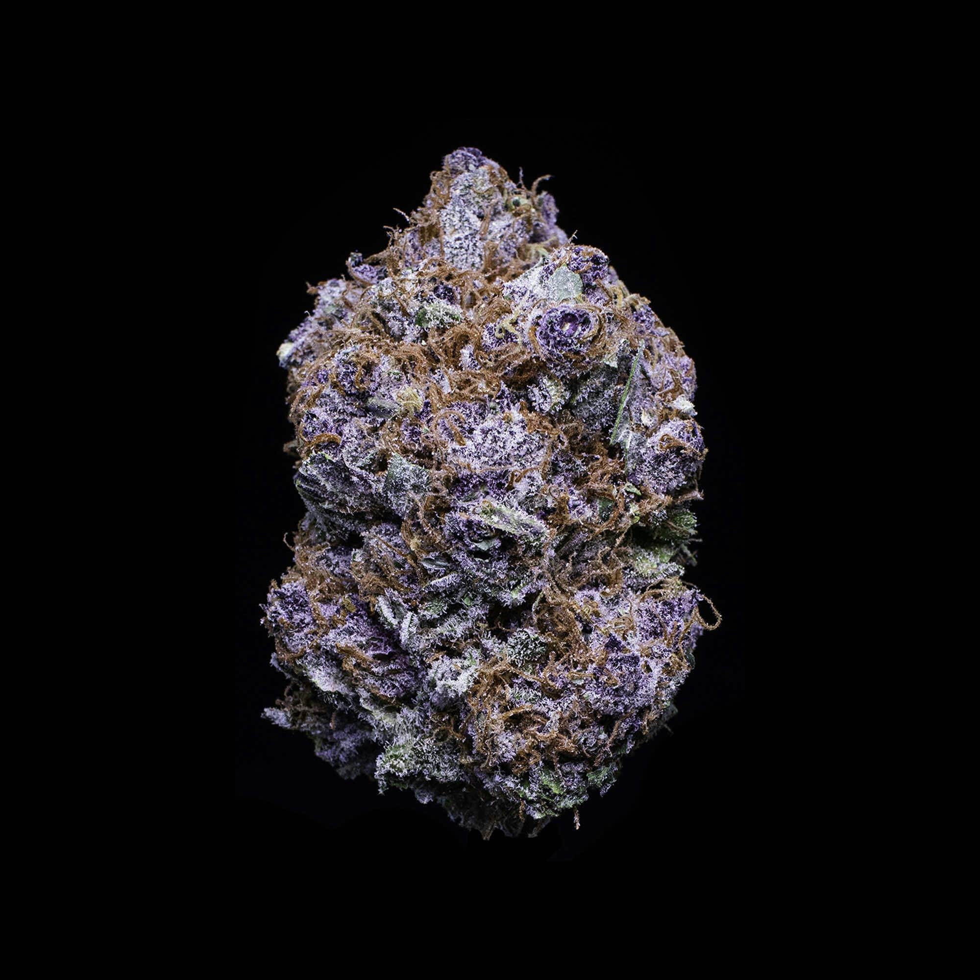 Falcanna - Deep Sea Flower 7g - 1