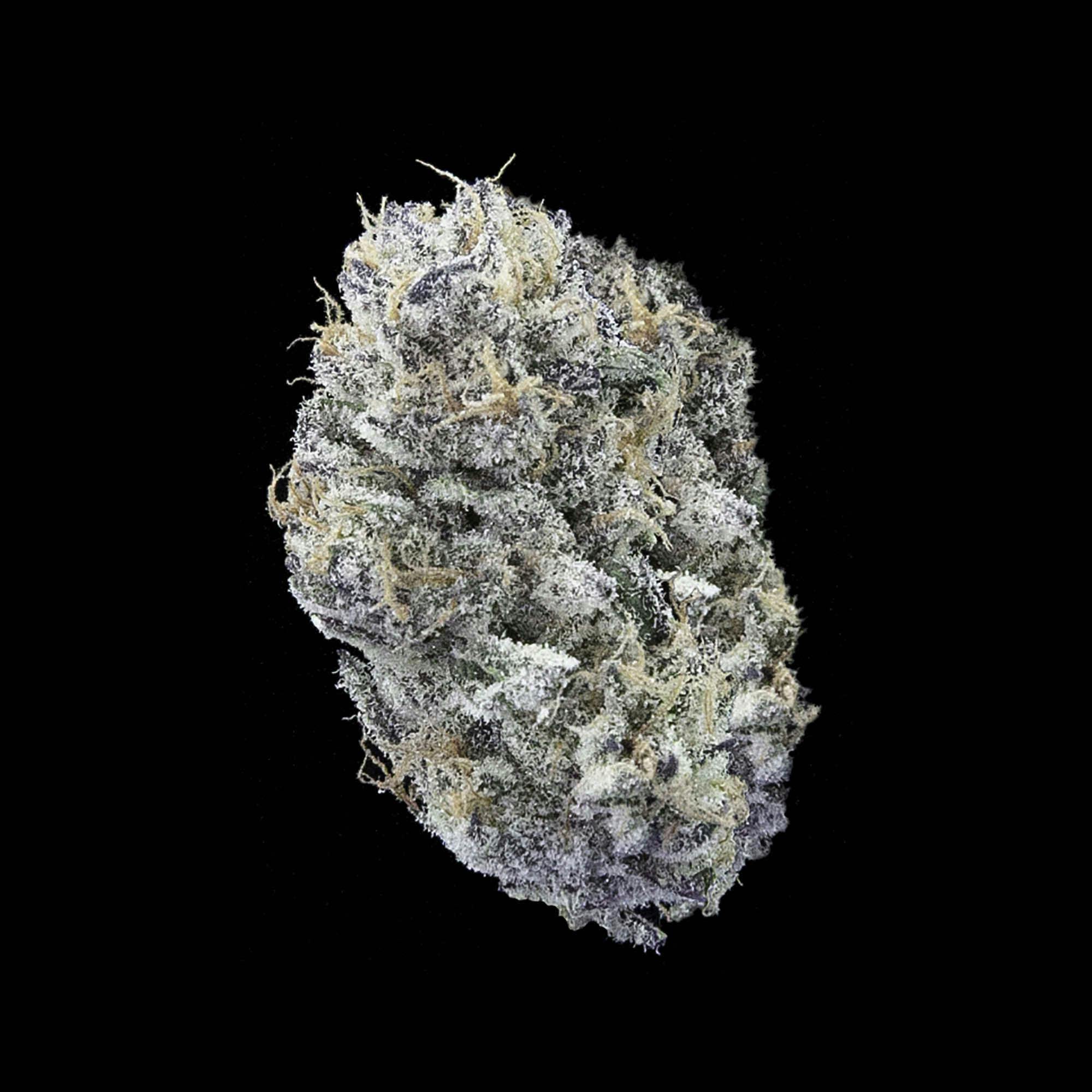 Falcanna - Candy Queen - 1