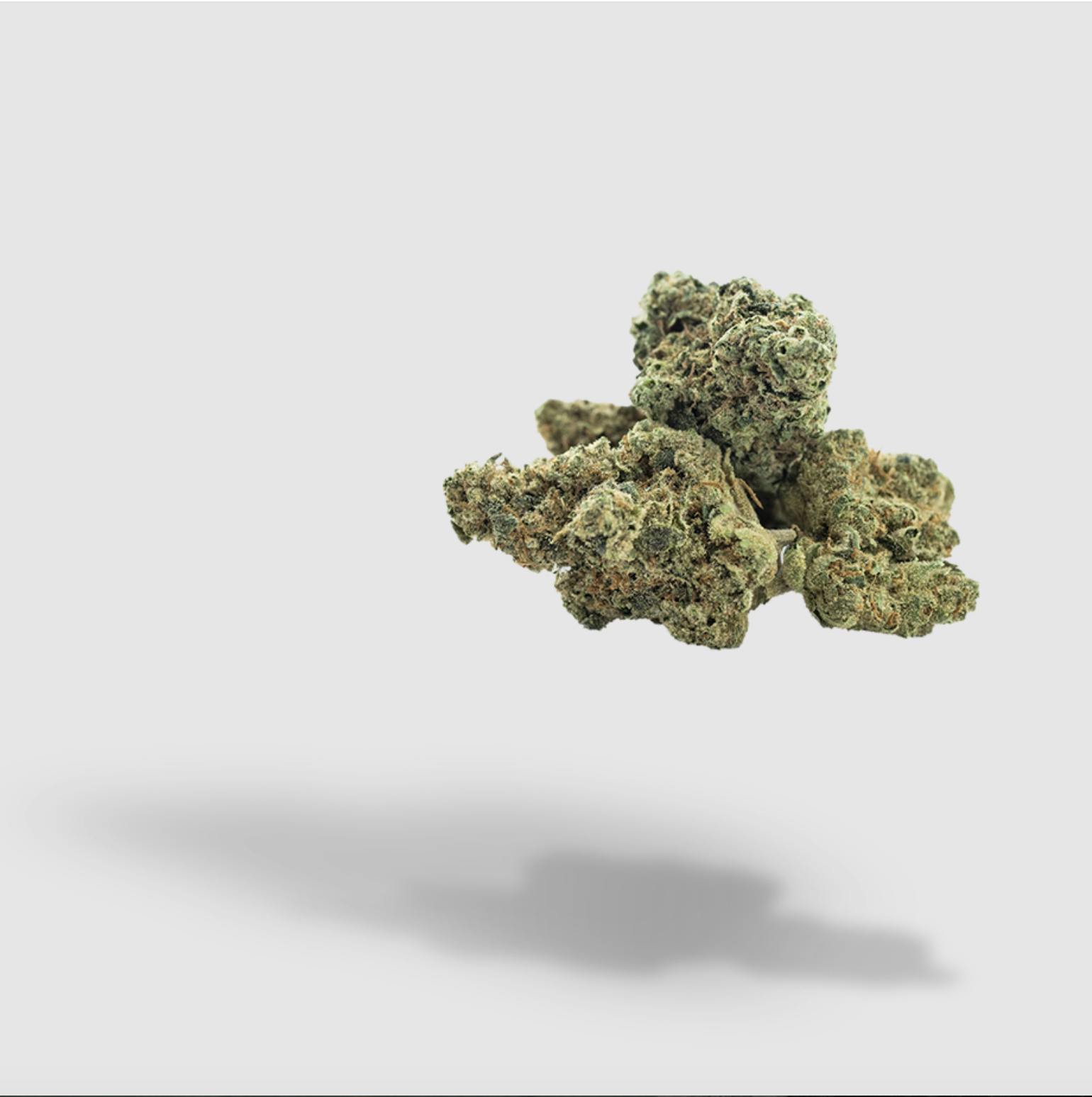 2727 - Sundaze | 2727 | Flower | 28G - 1