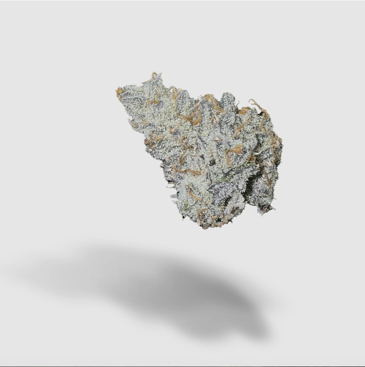 2727 - Papaya Truffles | 2727 | Flower | 28G - 1