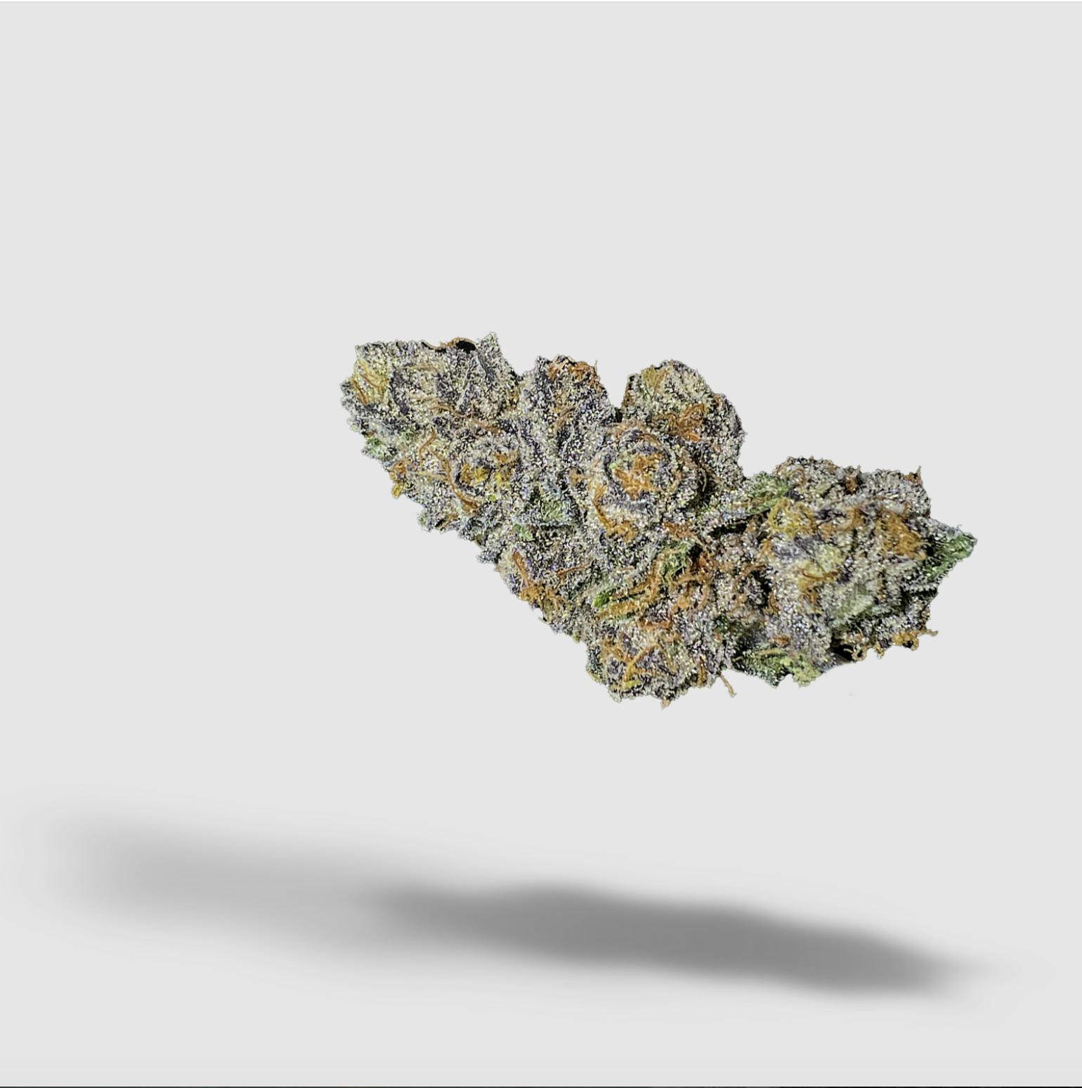 2727 - Watermelon Moonpie | 2727 | Flower | 7G - 1