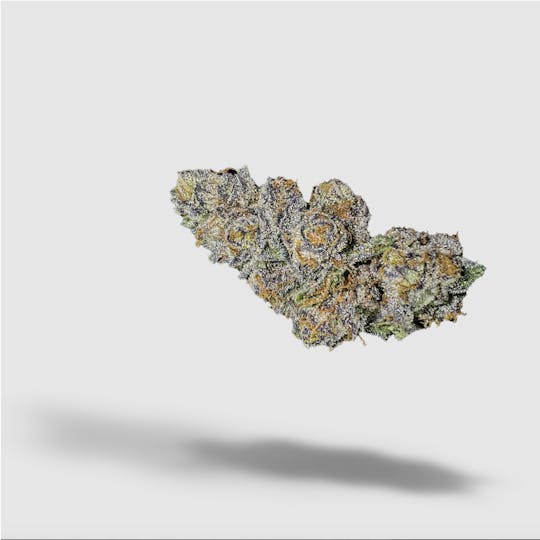 2727 - Watermelon Moonpie | 2727 | Flower | 7G - 1