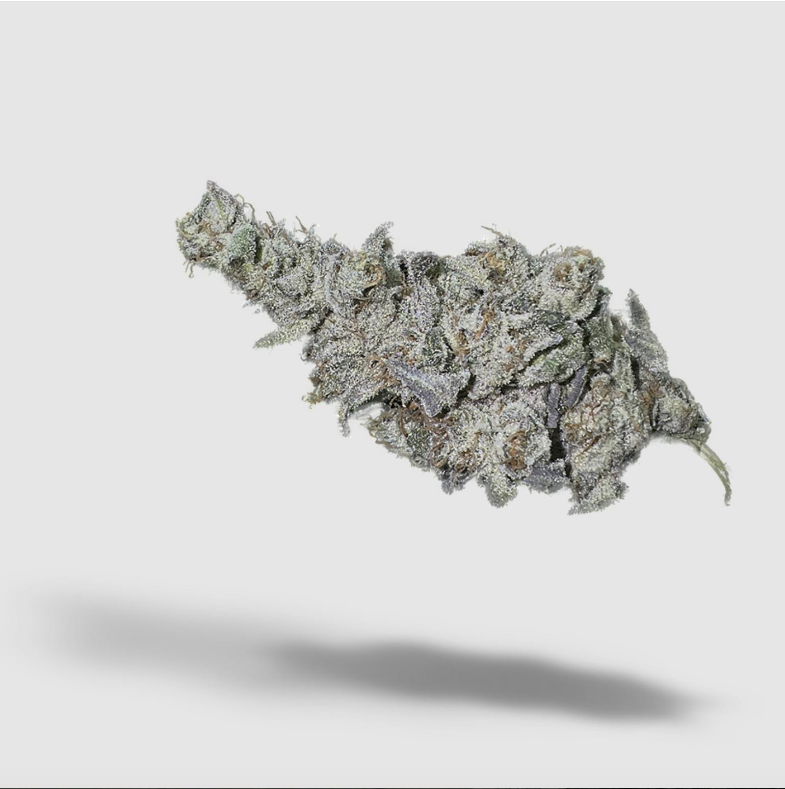 2727 - Pink Gorilla | 2727 | Flower | 28G - 1