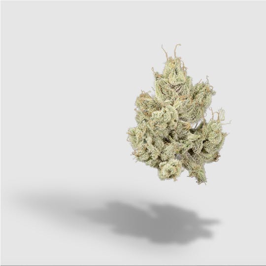 2727 - Grapefruit Haze | 2727 | Flower | 28G - 1