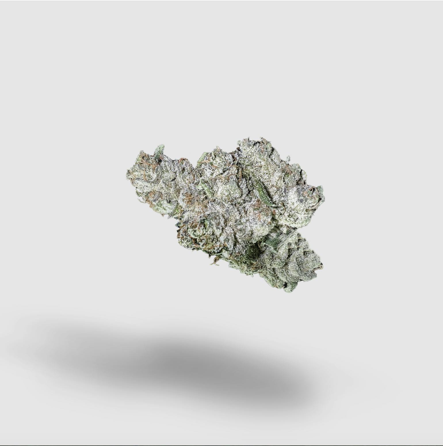 2727 - Vanilla Frosting | 2727 | Flower | 7G - 1