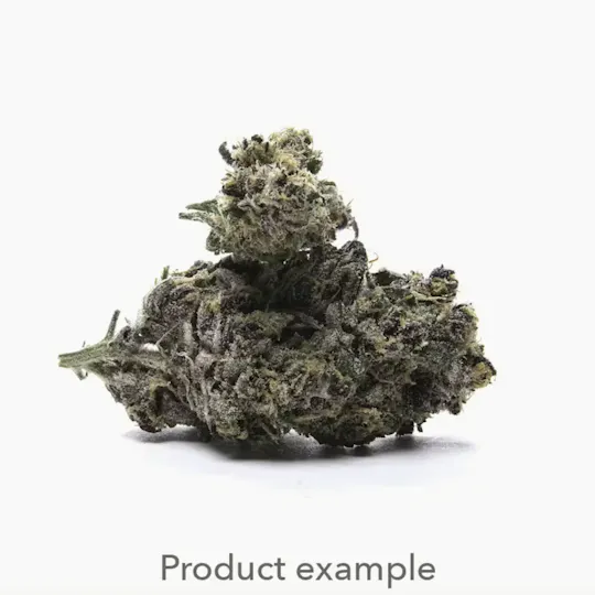 2727 - Jet Fuel Gelato | 2727 | Flower | 7G - 1