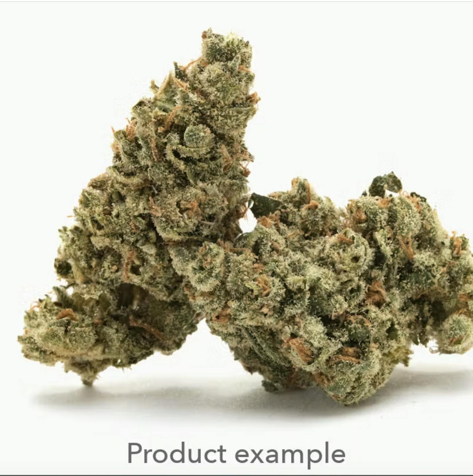 2727 - Cherries N Oranges | 2727 | Flower | 28G - 1